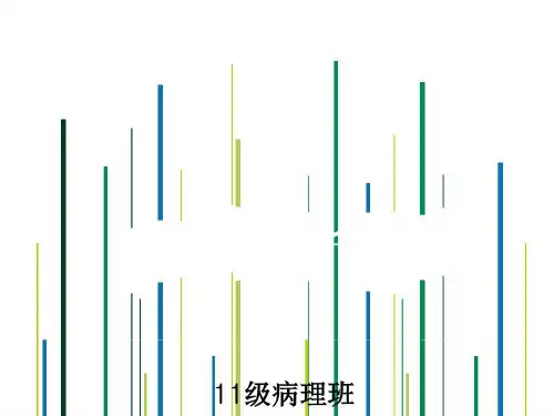 糖尿病的分子机制共48页文档