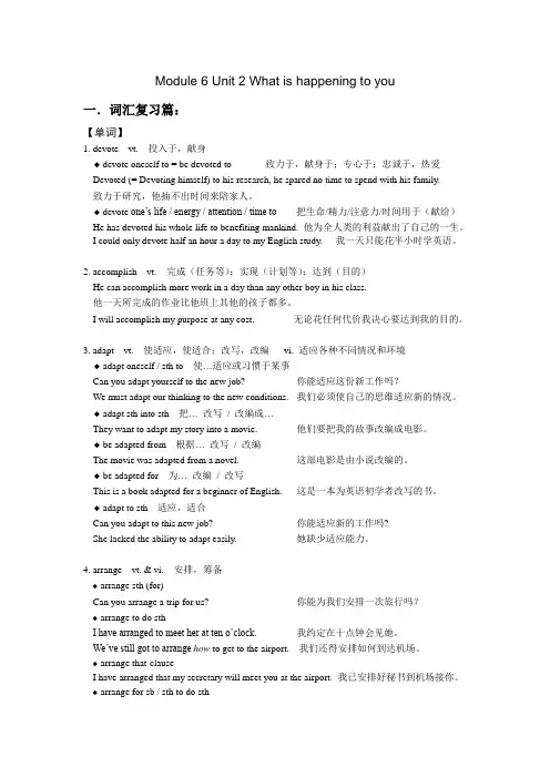 【个人精品制作】译林牛津版高中英语模块6第2单元What＿is＿happening＿to＿you词汇复习篇+单元测试篇（包括单词短语总结以及单元测试卷）