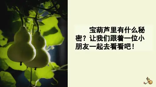 部编版四年级下册语文25 《宝葫芦的秘密》ppt课件