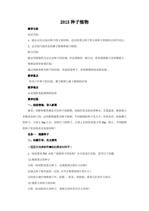 2013初中生物种子植物教案2