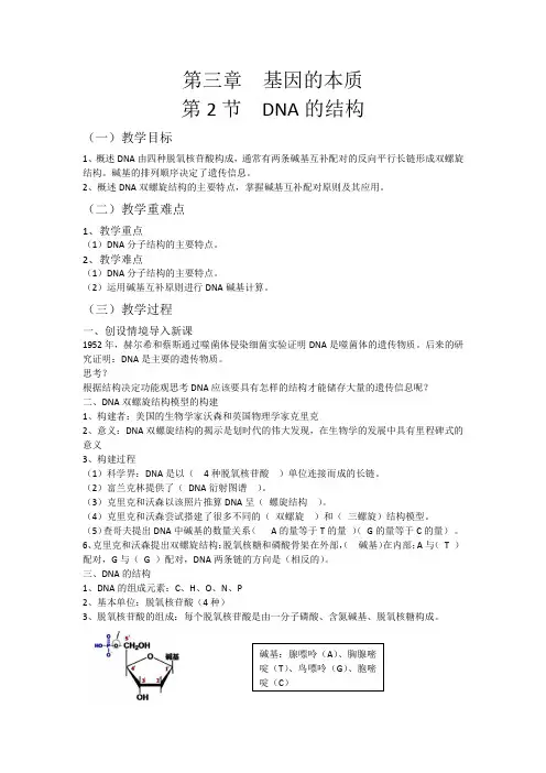 3.2 DNA的结构 教案【新教材】2020-2021学年人教版(2019)高一生物必修二