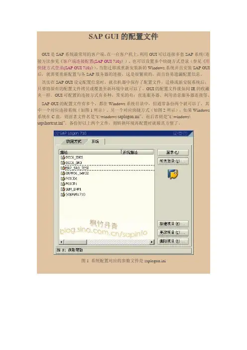 SAP GUI的配置文件