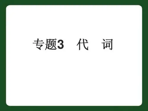 中考英语专题3_代词复习课件