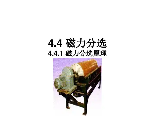 4.4固体废弃物磁力分选解析
