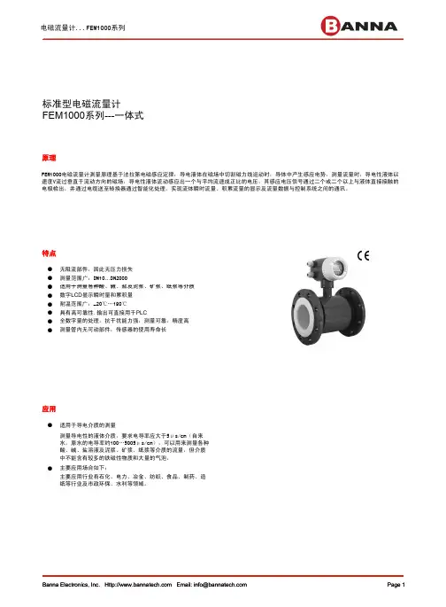 美国BANNA电磁流量计FEM1000一体式