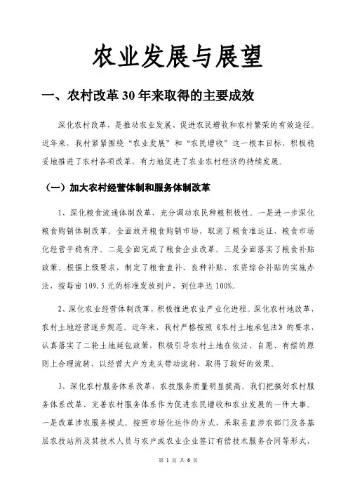 农业发展与展望论文范文
