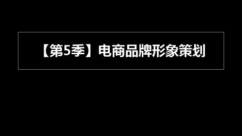 干货-品牌策划方案模板