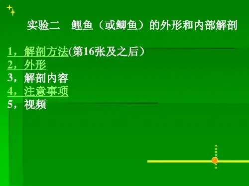 鲤鱼解剖实验