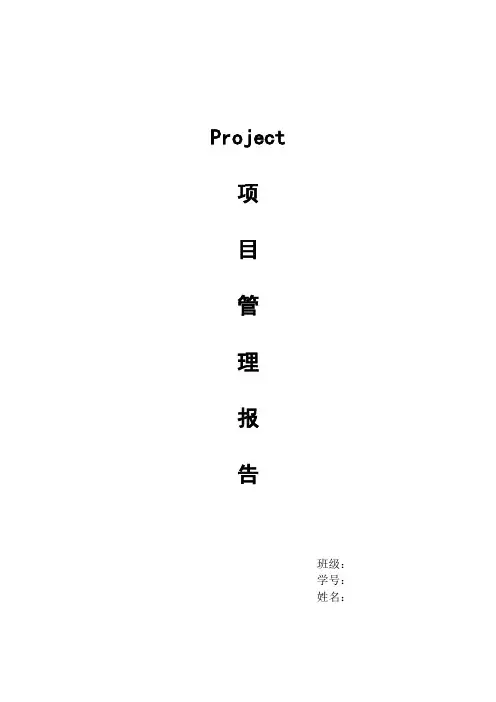 Project项目管理报告(word)