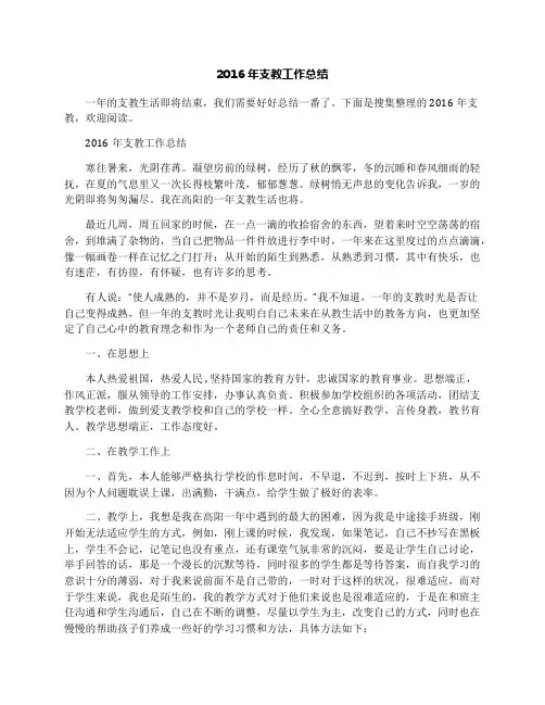 2016年支教工作总结