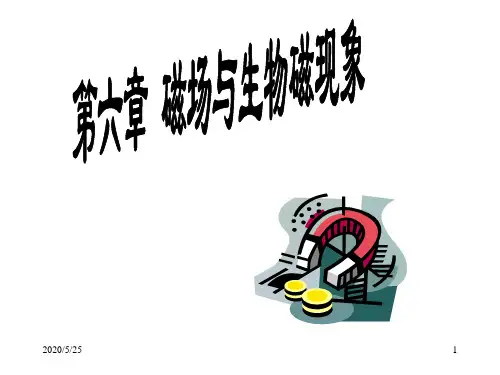 第六章 磁场与生物磁现象