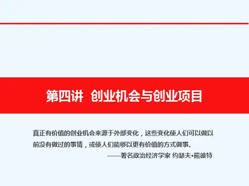 创业机会与创业项目概论