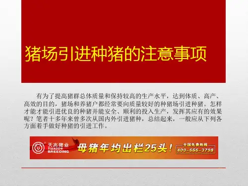 猪场引进种猪的注意事项