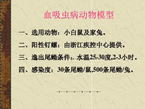 血吸虫病动物模型