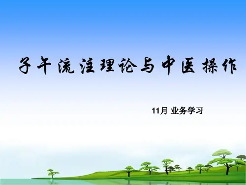 子午流注理论与中医操作