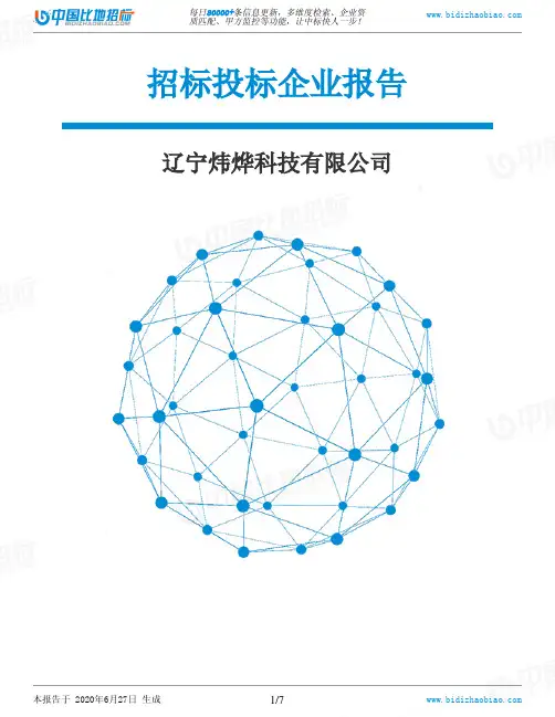 辽宁炜烨科技有限公司-招投标数据分析报告