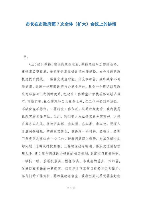 市长在市政府第7次全体(扩大)会议上的讲话