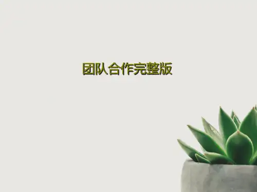 团队合作完整版63页PPT