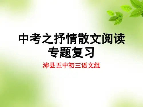 中考语文抒情散文专题复习