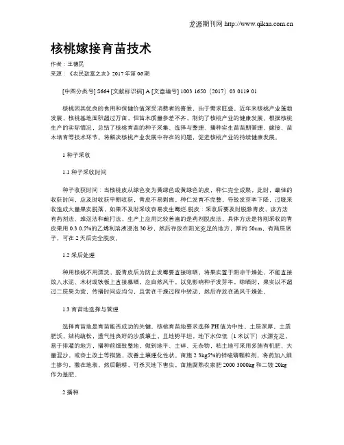 核桃嫁接育苗技术