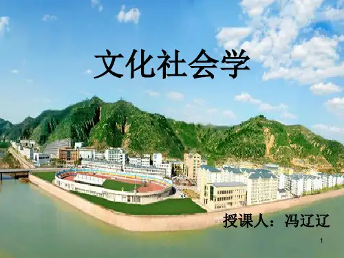 第一章文化社会学绪论PPT课件