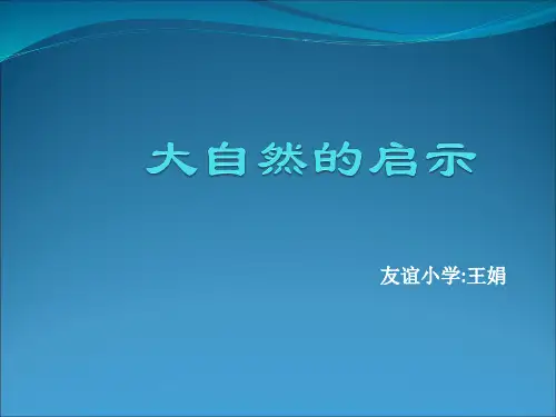 大自然的启示