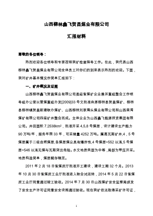 贺昌煤业汇报材料