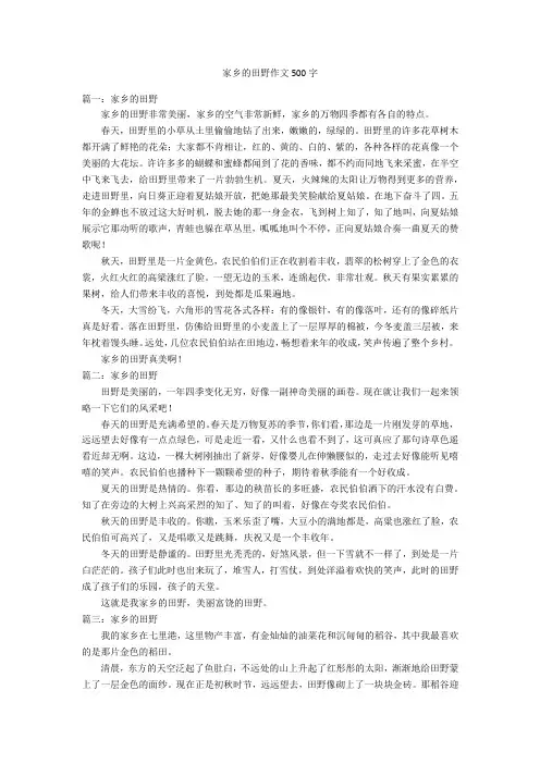 家乡的田野作文500字优秀作文