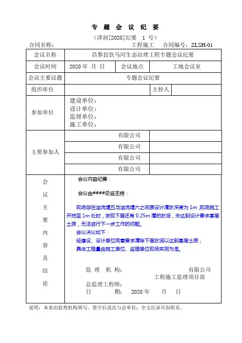 专题会议纪要模板