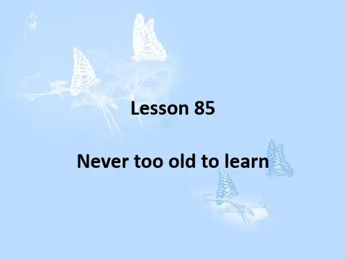 新概念英语第二册Lesson85(共24页)2