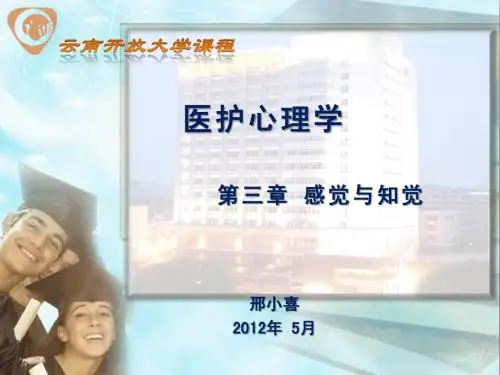 医护心理学 第三章 感觉与知觉