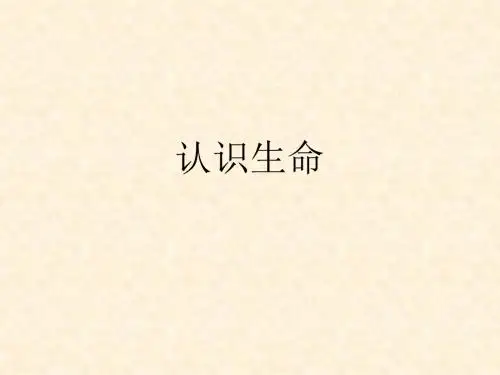 第一课时认识生命
