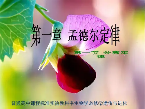 高中生物必修二第一章孟德尔定律第一节分离定律.pptx