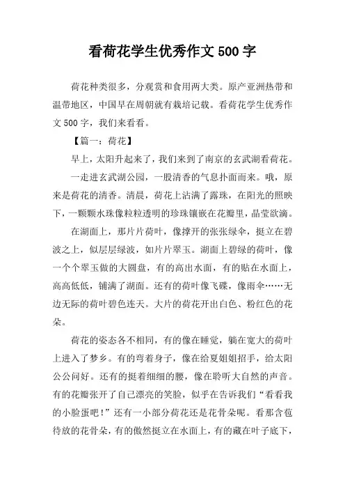 看荷花学生优秀作文500字