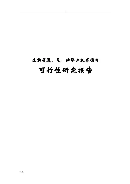 生物质炭、气、油联产技术项目可行性研究报告