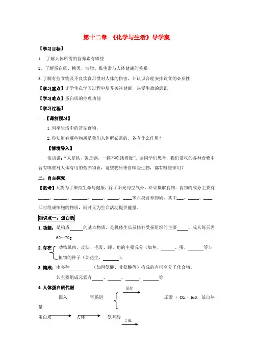 九年级化学下册 第十二章《化学与生活》导学案(无答案) 新人教版