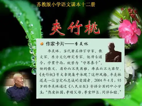 19、夹竹桃PPT课件