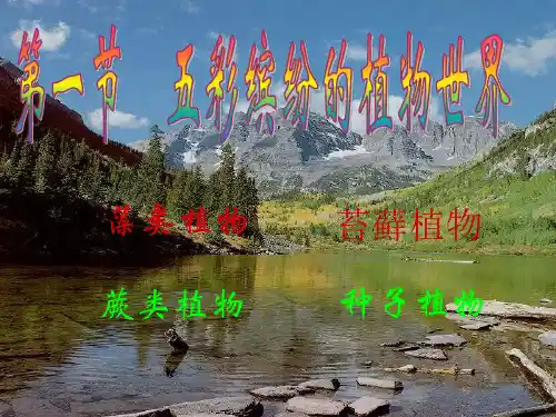 第一节《五彩缤纷的植物世界》ppt课件