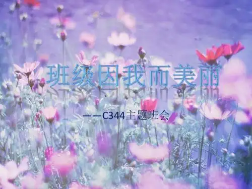 班级因我而美丽{344}