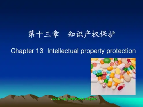 知识产权保护