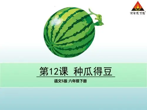 12 种瓜得豆
