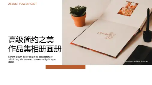 高级简约之美作品集相册画册