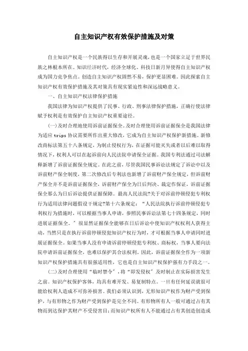 自主知识产权的有效保护措施及对策