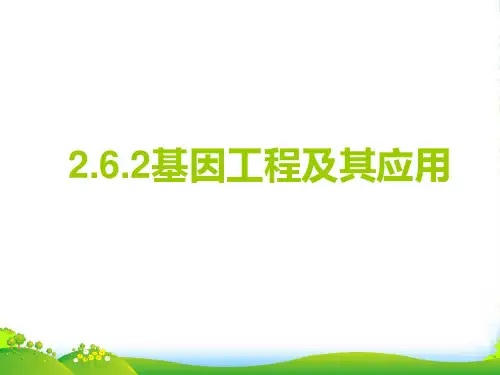 高中生物必修二课件：6.2基因工程及其应用