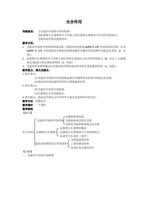 高三生物一轮复习教案：光合作用1