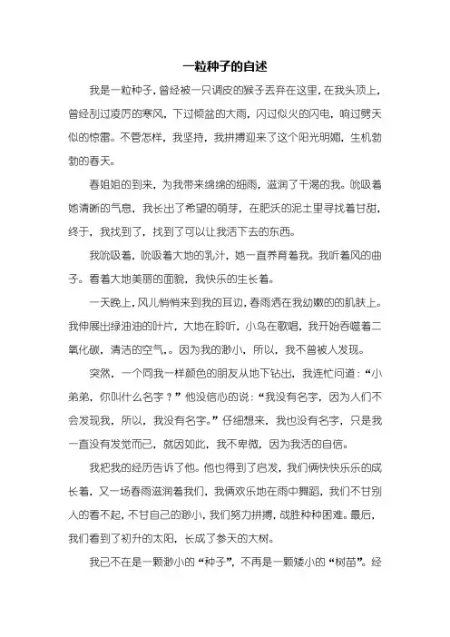 初三作文：一粒种子的自述作文600字