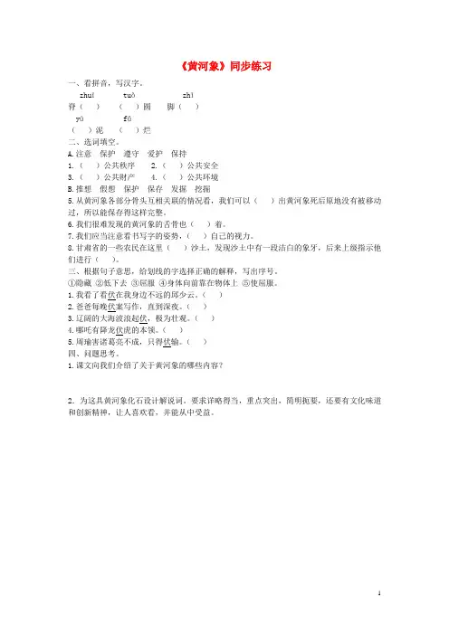 六年级语文下册第23课《黄河象》同步练习(无答案)冀教版