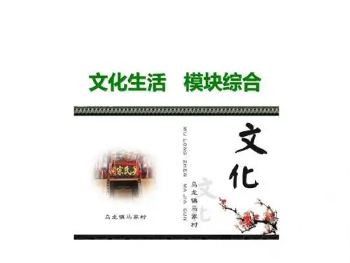 高考考法突破)课件文化生活 模块综合 _.ppt