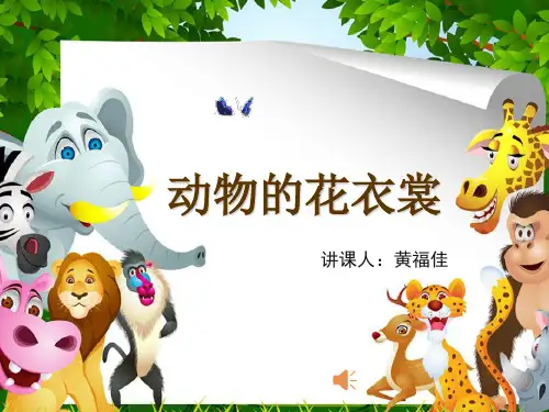 三年级美术公开课《动物的花衣裳》