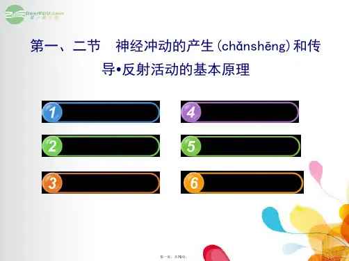 高中生物 3.1.3.1、2神经冲动的产生和传导反射活动的基本原理课件 中图版必修3